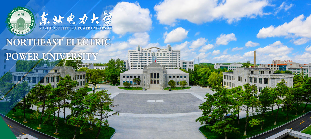 东北电力大学关于支持海外优秀青年学者申报优秀青年科学基金项目的工作办法