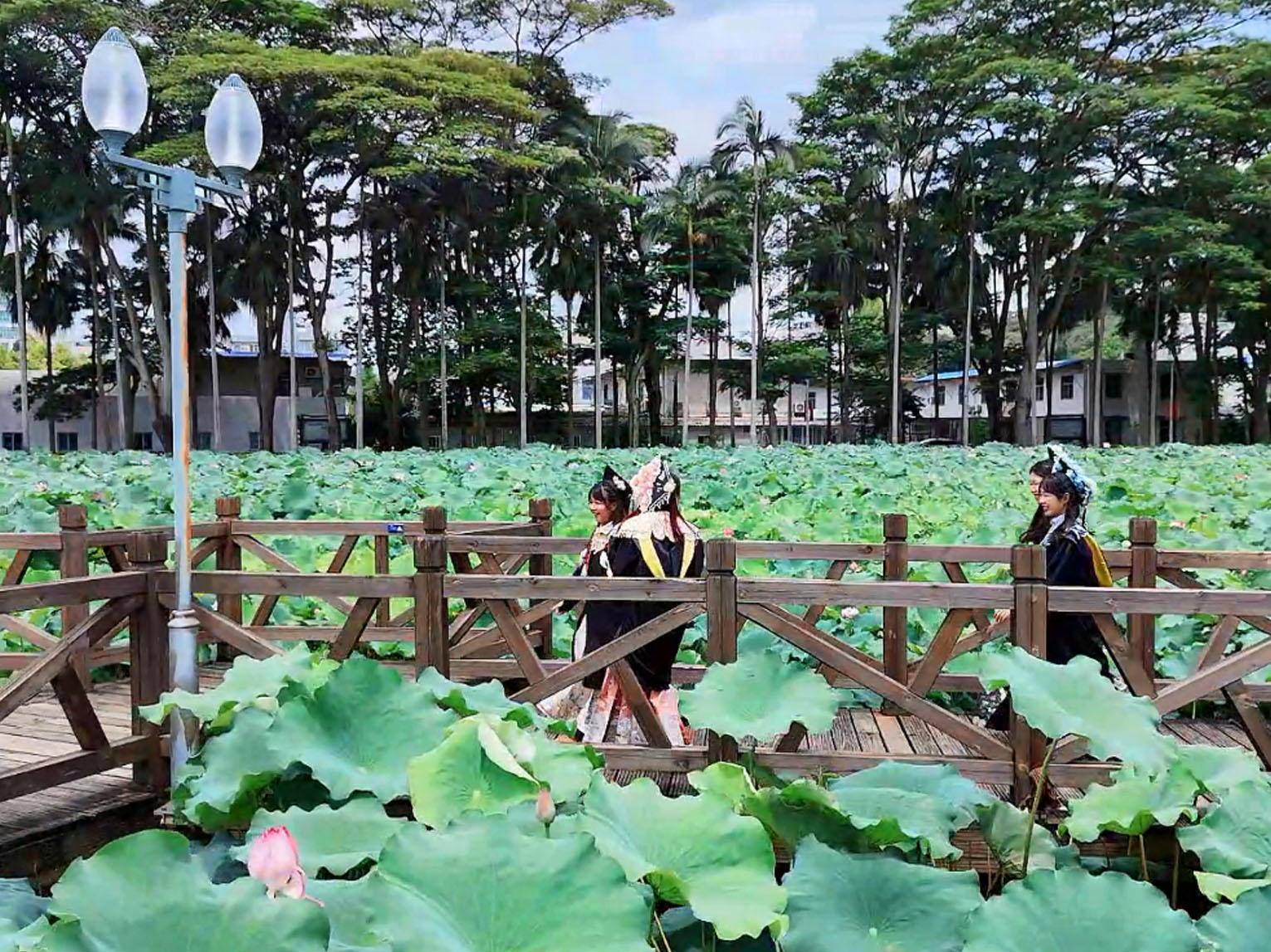 巢湖学院2022年诚聘博士人才公告